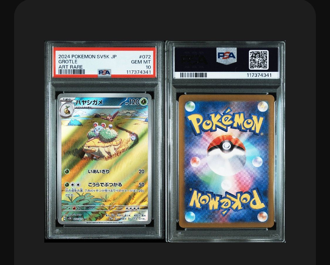 ★PSA10★【ハヤシガメ/AR/SV5K】GROTLE 072/071 Grotle AR 072/071 SV5K Wild Force - Pokemon Card Japanese