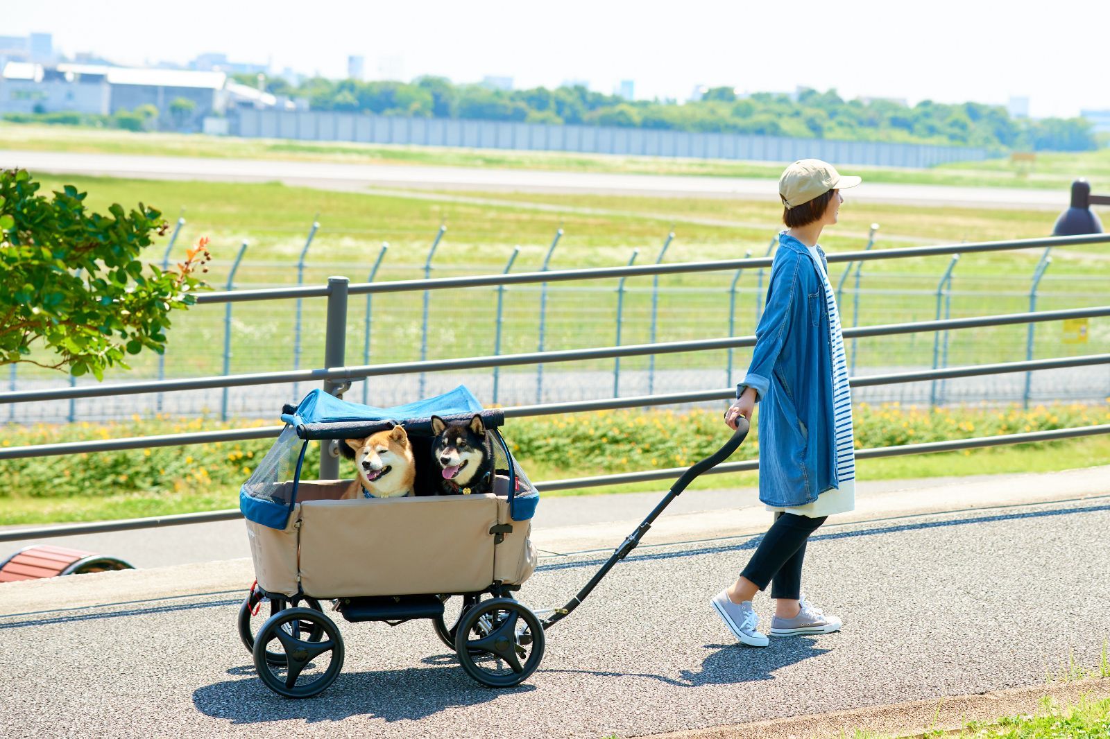 ibiyayaアウトドアペットワゴン キャリー