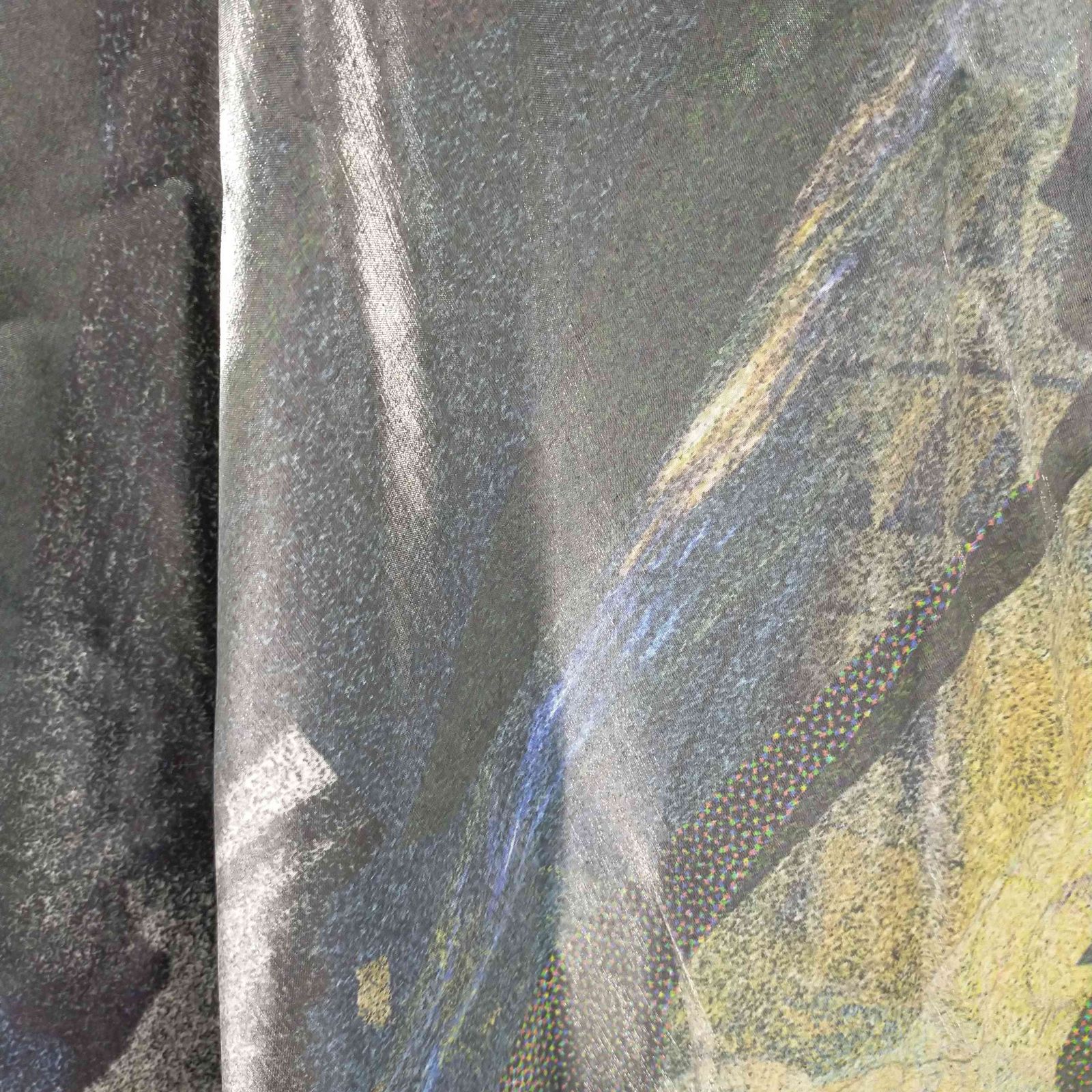 メゾンスペシャル MAISON SPECIAL 24SS Swallow Imagination Print  