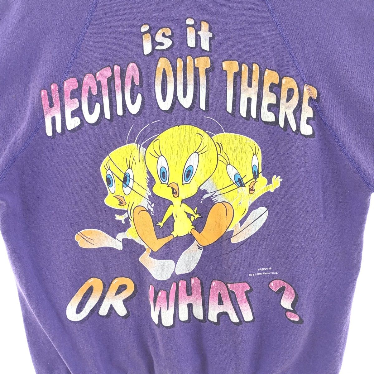 古着 90年代 ルーニーテューンズ LOONEY TUNES TWEETY BIRD 
