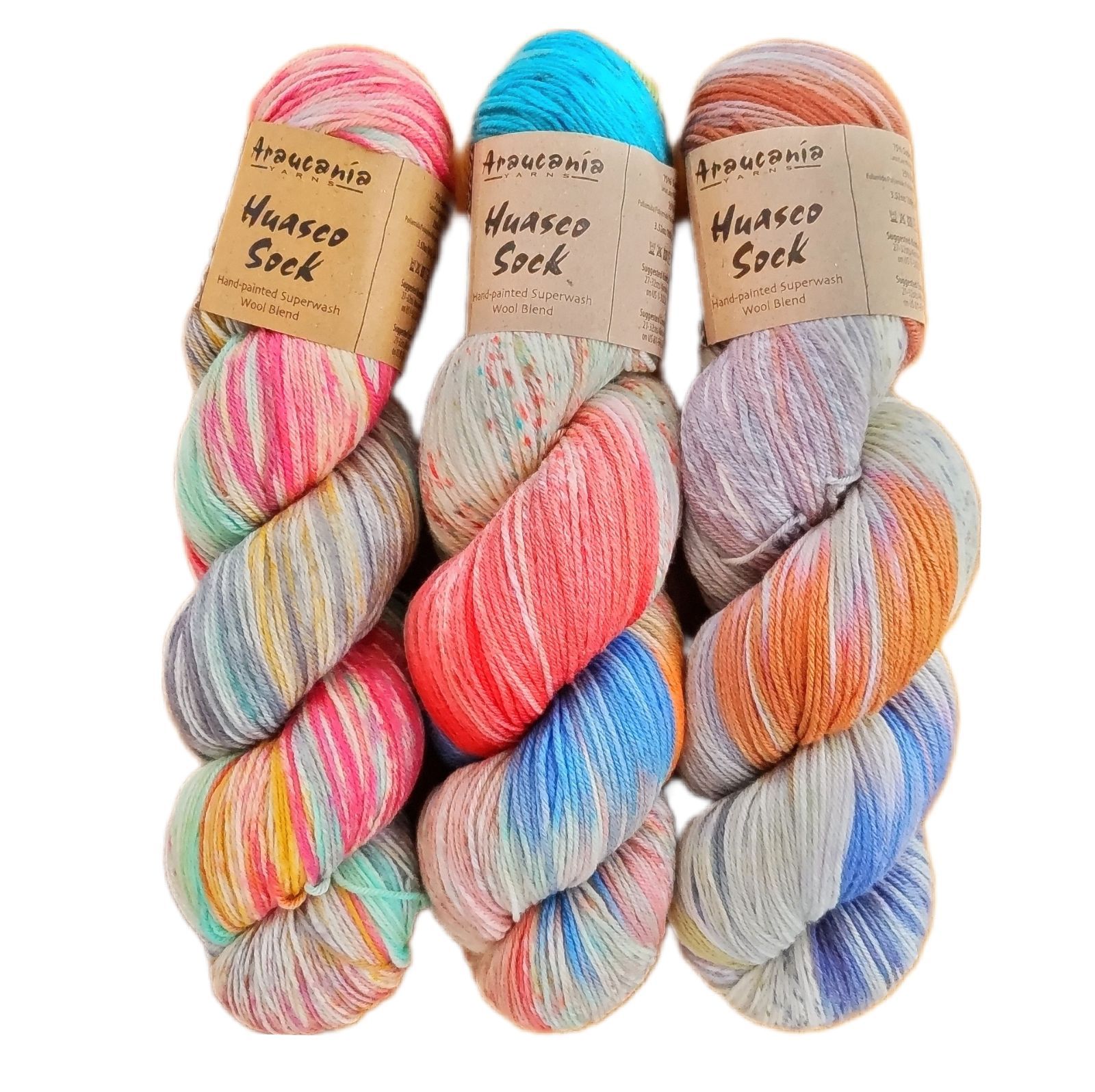 Araucania yarns Huasco sock ソックヤーン手染め