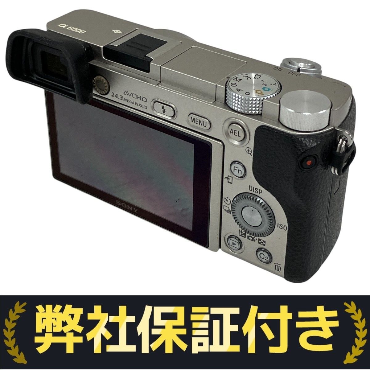SONY α6000 E 16-50 F3.5-5.6 E 55-210 F4.5-6.3 ダブルズーム