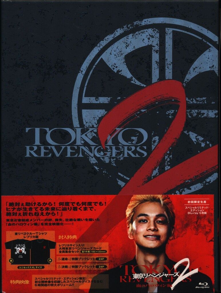 池田彰彦 「秋桜高原」12号 日本画 アート 絵画