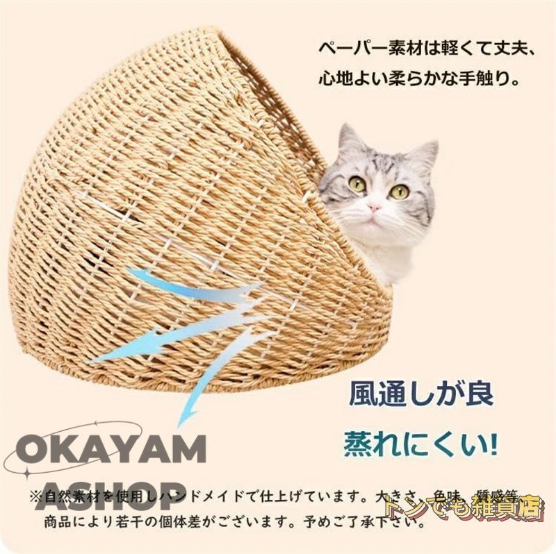 大型猫