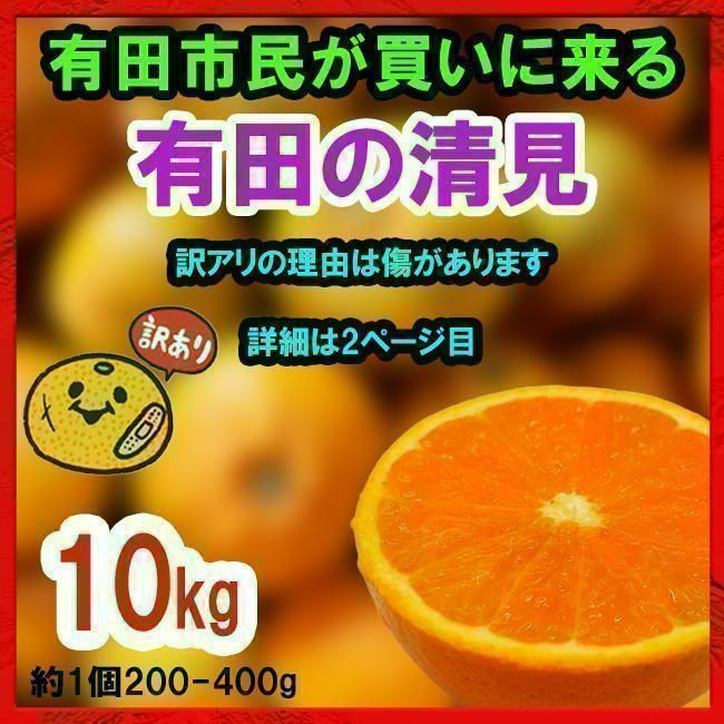 【激甘】ほぼ無農薬の有田みかん【清見】（傷多め・訳あり) 10kg-0