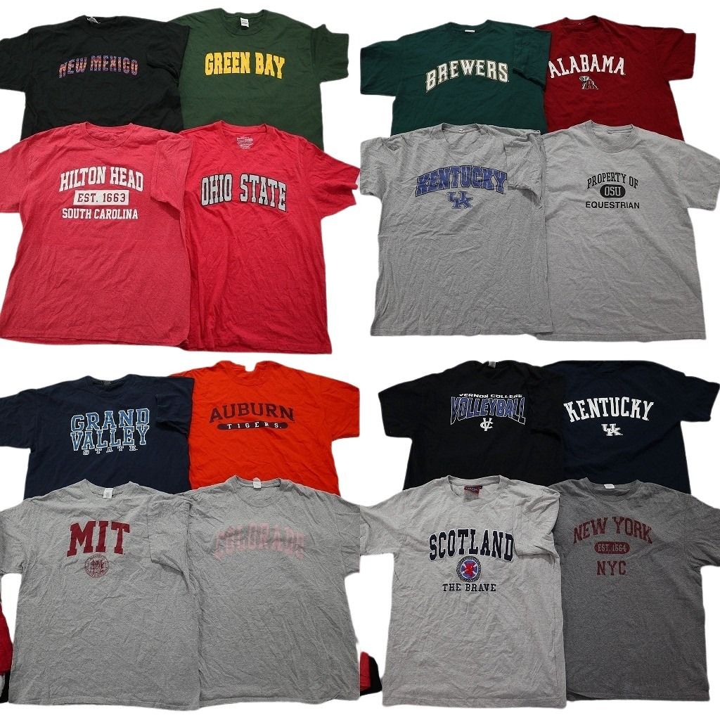 古着卸 カレッジ風 半袖Tシャツ 16枚セット メンズ XL オハイオ大学 ケンタッキー大学 ニューヨーク大学 古着 NA2644