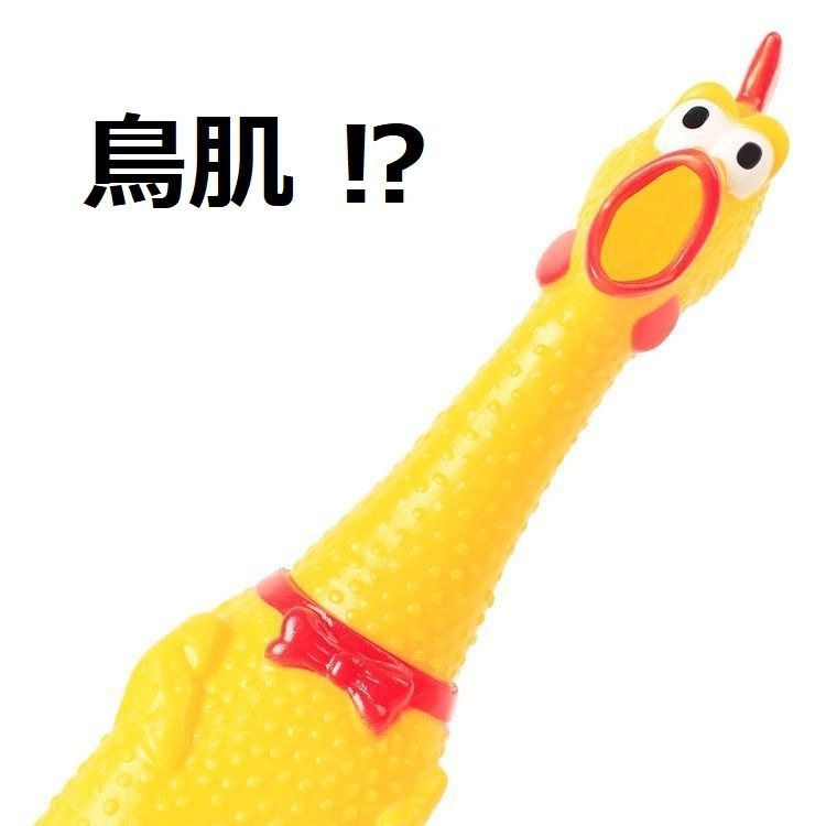 スモールサイズ 【S】16cm 叫ぶ！チキン 鳴く 音が鳴る おもちゃ