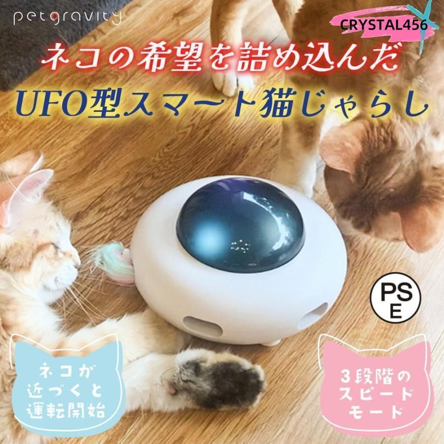 星*産様 raw life factory 宝輪 CORONA 黒雨 陶器鉢 星*産様 raw life