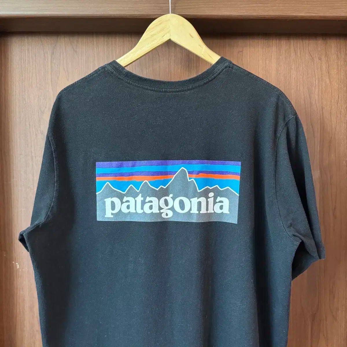 patagonia(パタゴニア) 半袖Tシャツ XL - メルカリ
