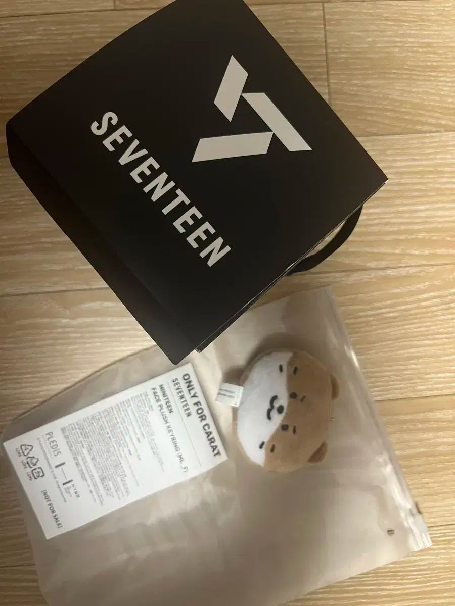 SEVENTEEN(セブンティーン・セブチ) ミニティーン チャン・ダル・イー (リバースエンジニア)