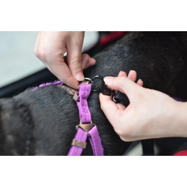 ペットカート 軽量