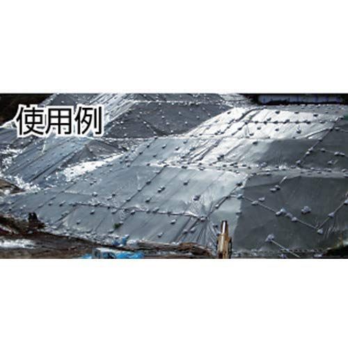 ODグリーン 5.4m×7.2m