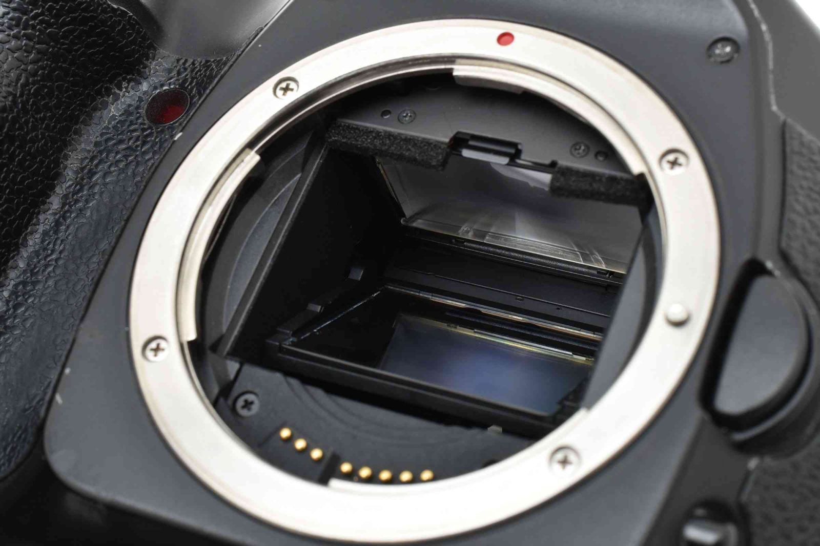 I14[6784C]2 キャノン Canon EOS 5D ボディ BG-E4 純正バッテリー