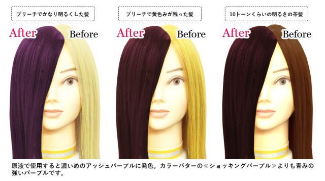 エンシェールズ カラーバター アッシュパープル 200g