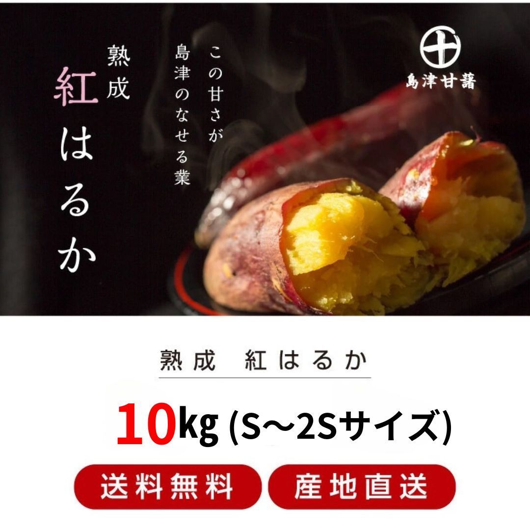 さつまいも 紅はるか 10kg S～2Sサイズ 送料無料 【ベジエイト公式】送料無料 島津甘藷 芋 サツマイモ 焼き芋 焼いも ヤキイモ 都城市 宮崎 甘い おやつ お得 訳あり じゃない
