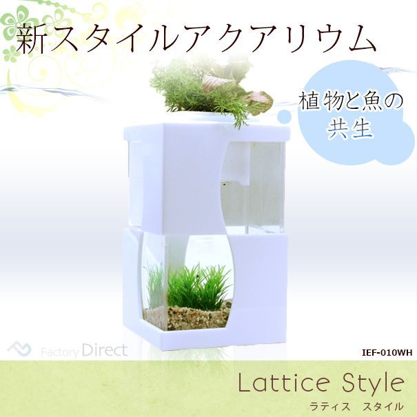 友成晴雄 油彩画