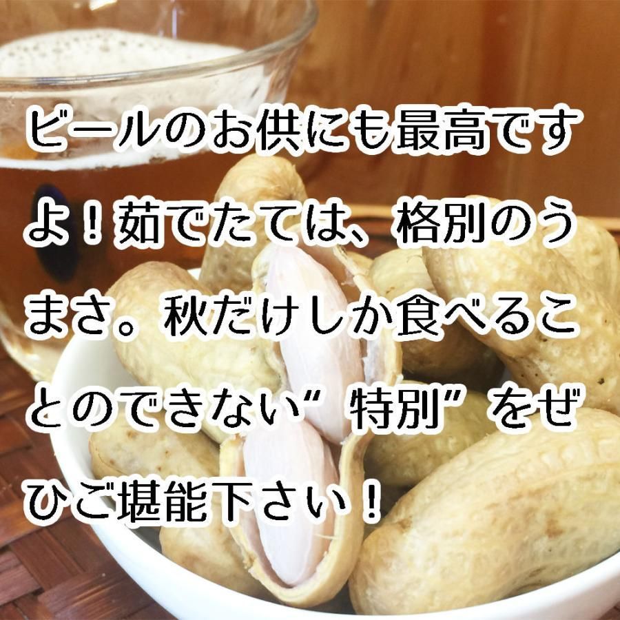 ゆで落花生用 生落花生おおまさり 1kg　令和6年産  洗浄済