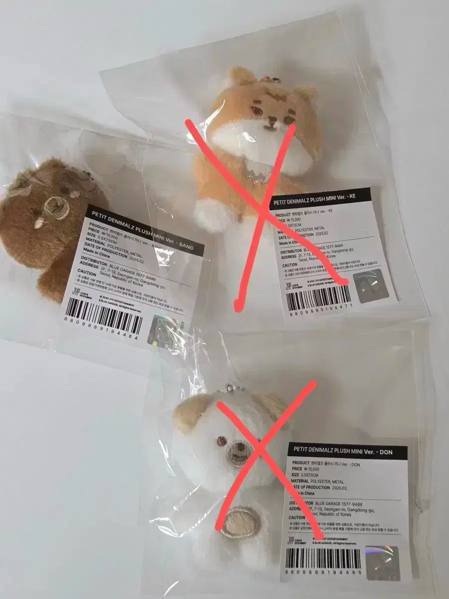 DAY6 デイシックス プティ メルツ ミニ かなりかっこいい 部屋