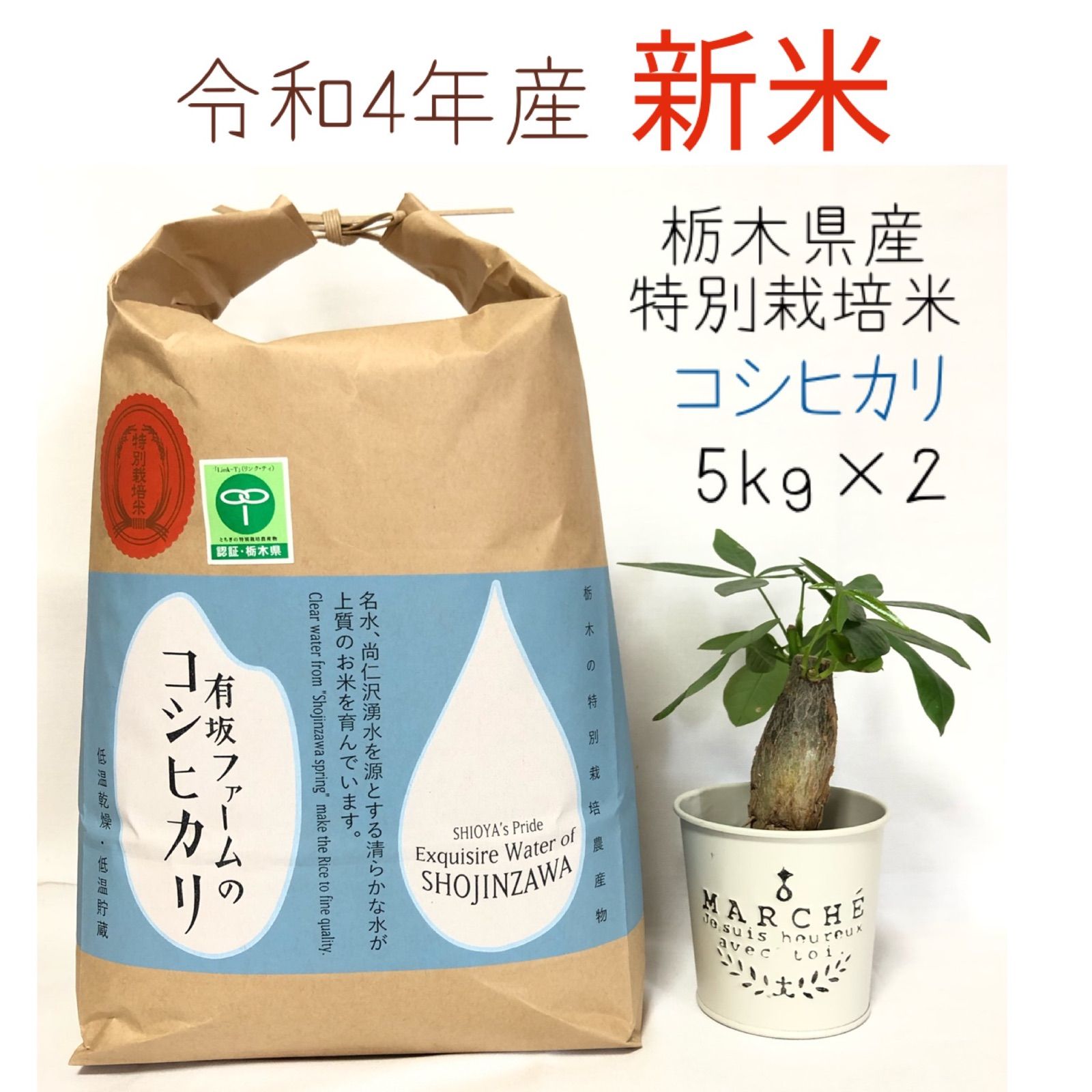 新米 新潟コシヒカリ 20㎏(5kg×4袋) 特別栽培米 農家直販