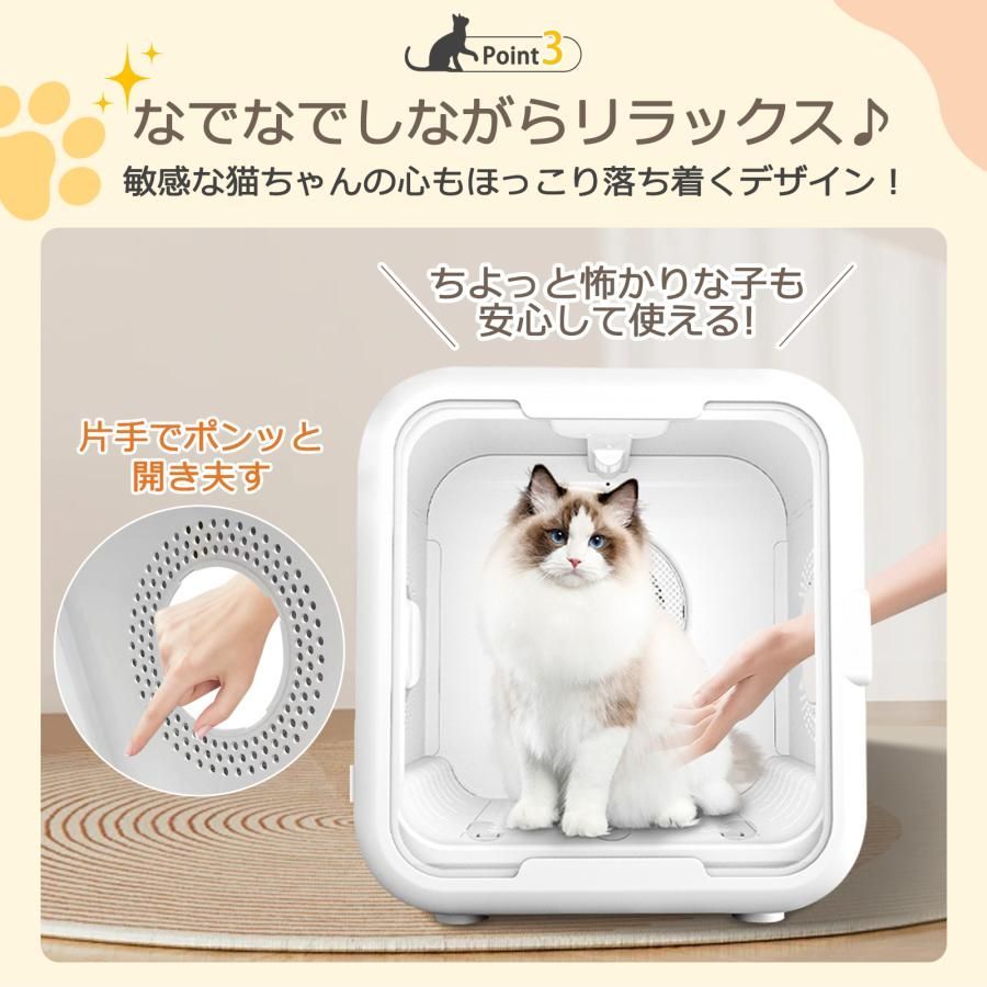 最新