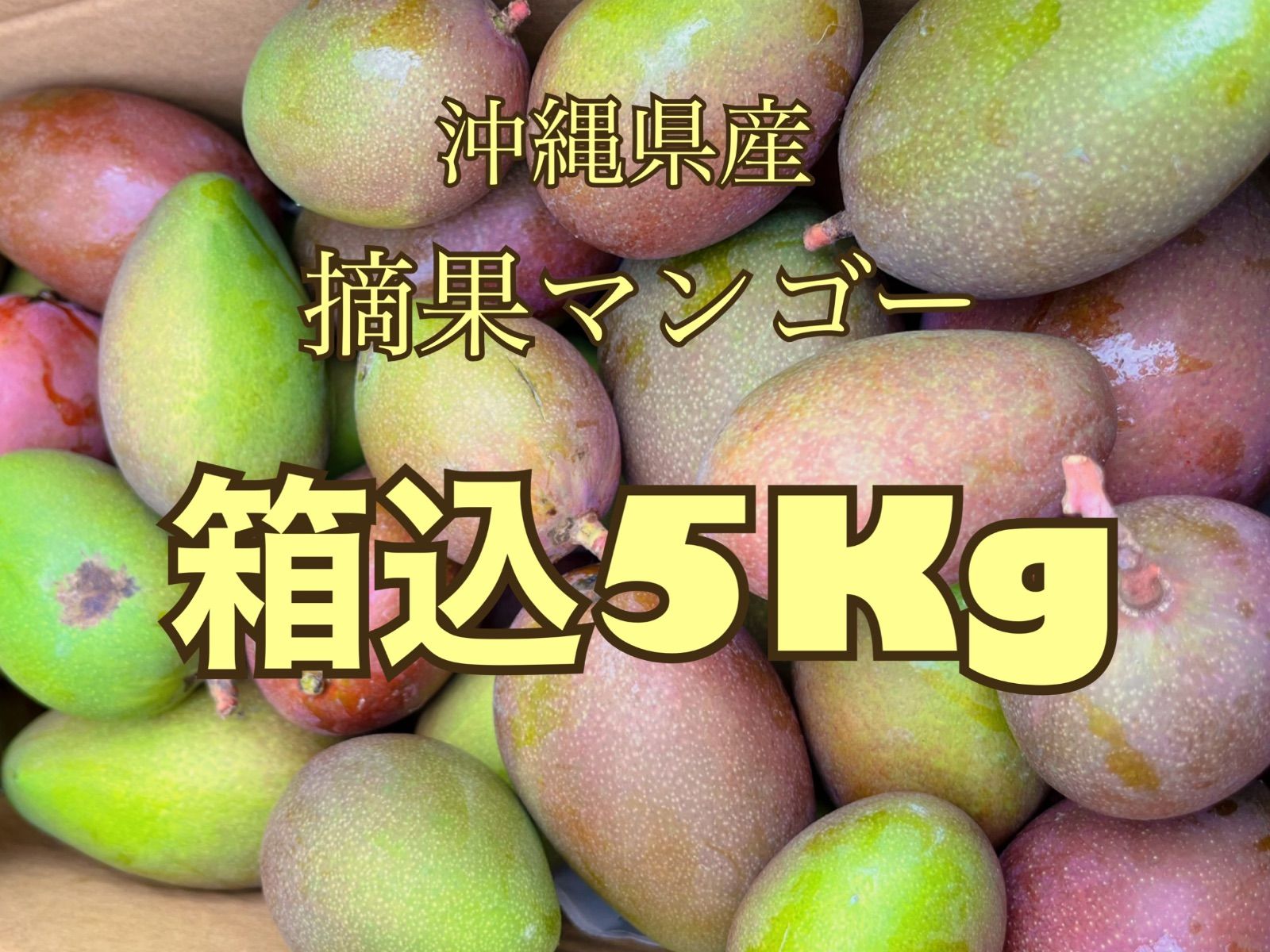 宮崎県産グリーンマンゴー 摘果マンゴー 箱込み10kg - 果物