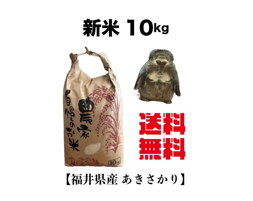 ラスト1品！R5年 自然栽培米ミズホチカラ玄米20kg（5kg×4） R5