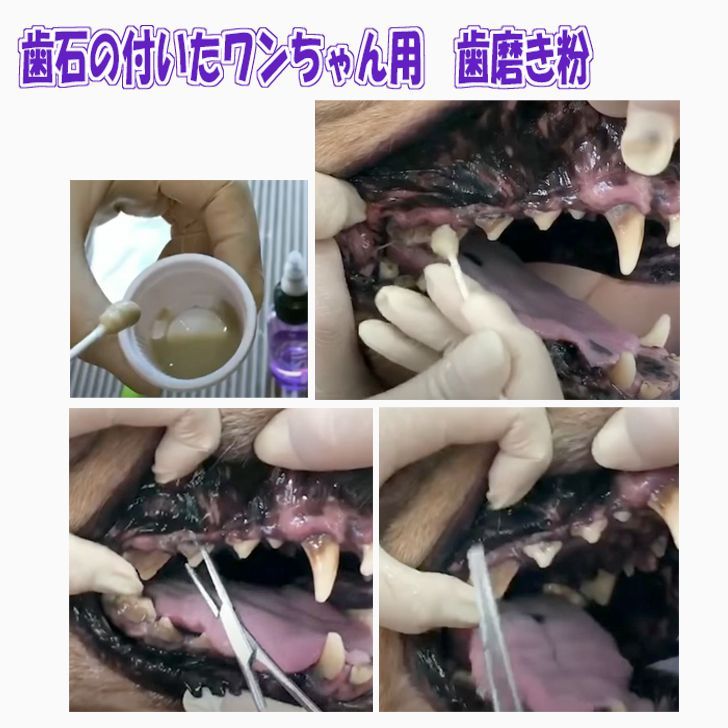 ケア
