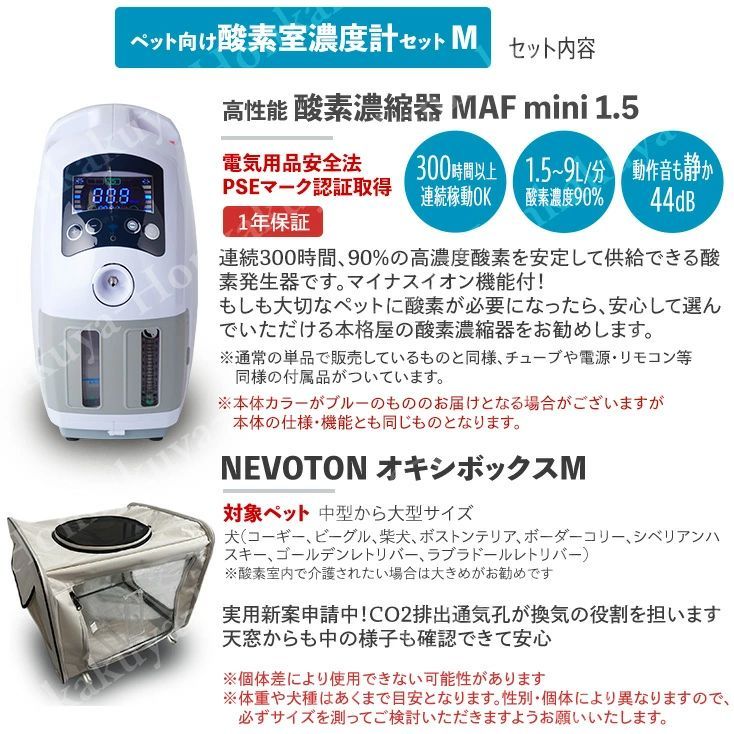 小鳥