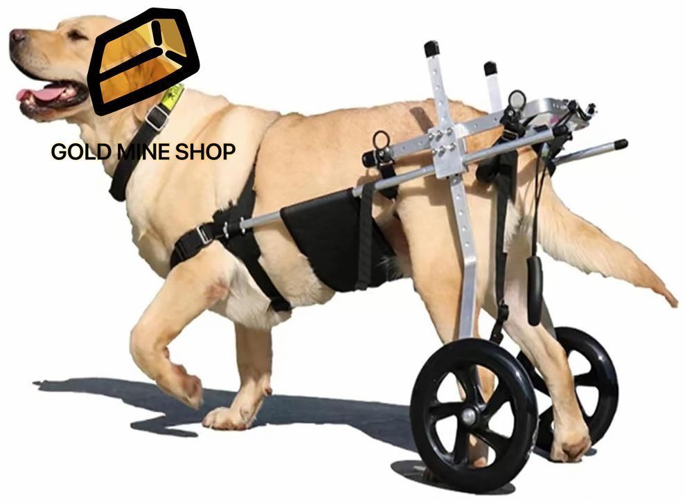 後ろ足用犬 車椅子 大型犬用車椅子 犬用歩行器 障害のあるペットの後足リハビリ 2輪 調節 XXL