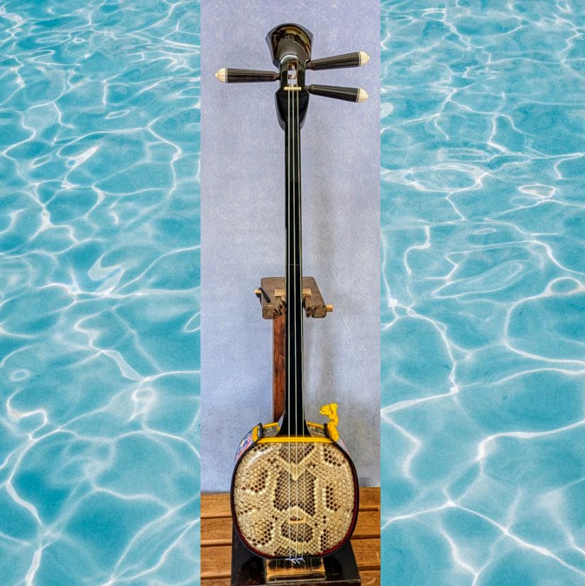 強化張り 新型ソフトケース