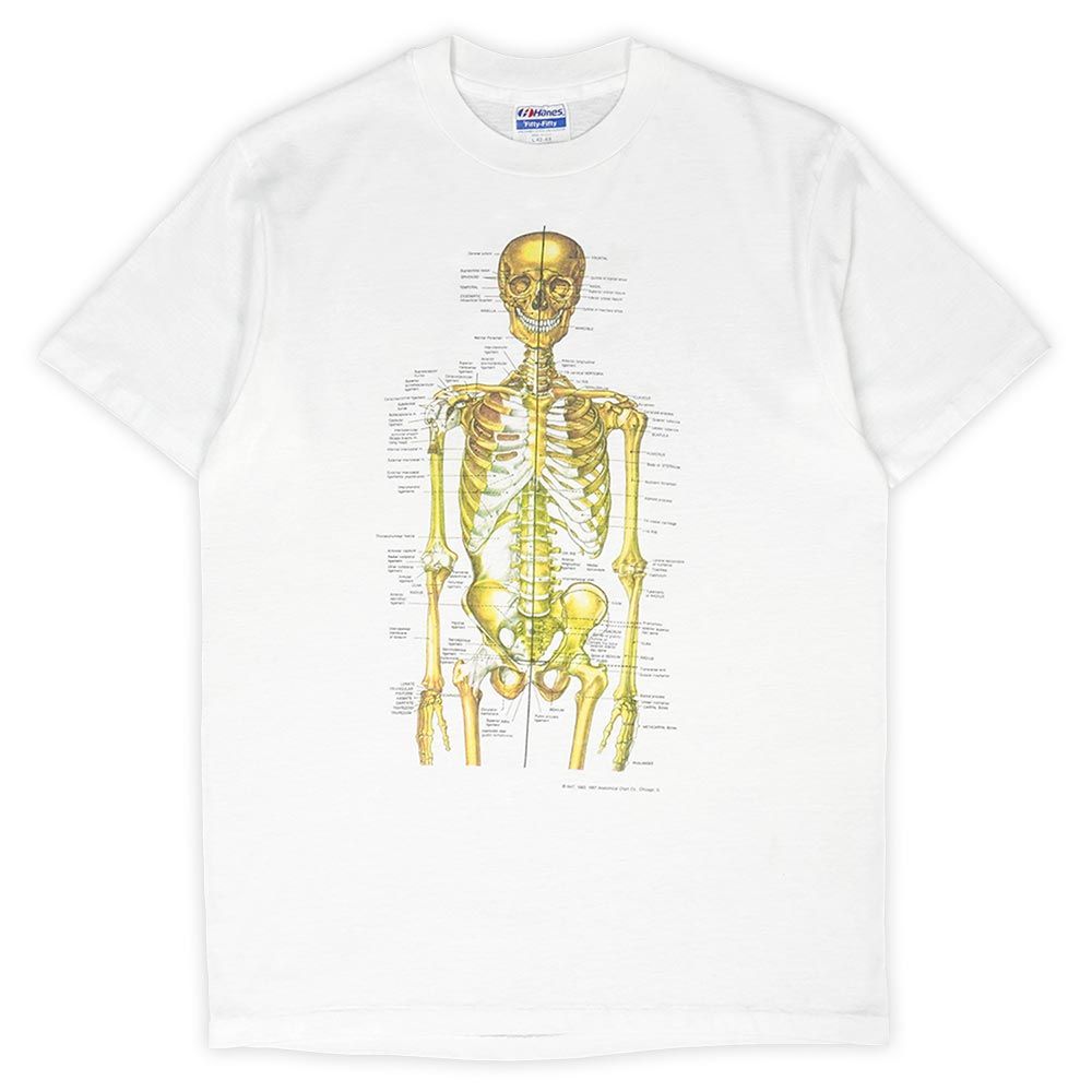 アナトミカルチャート Anatomical Chart Co. 80s 80年代 人体解剖図 Tシャツ カートコバーン NIRVANA アメリカ製  MADE IN USA HANES ヴィンテージ VINTAGE 古着 メンズ ホワイト 白 L【中古】 - メルカリ