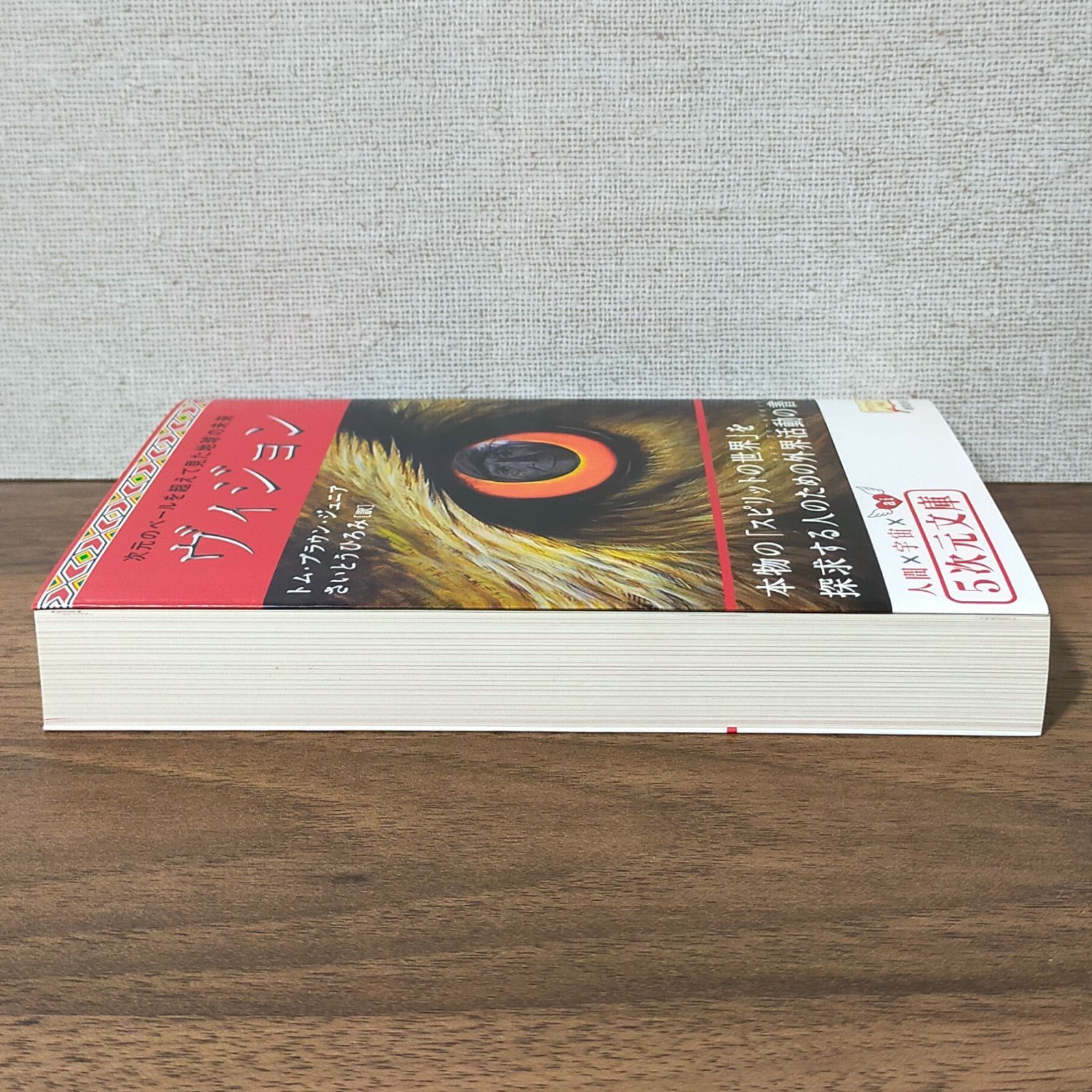 ヴィジョン―次元のベールを超えて見た地球の未来 (5次元文庫) - メルカリ