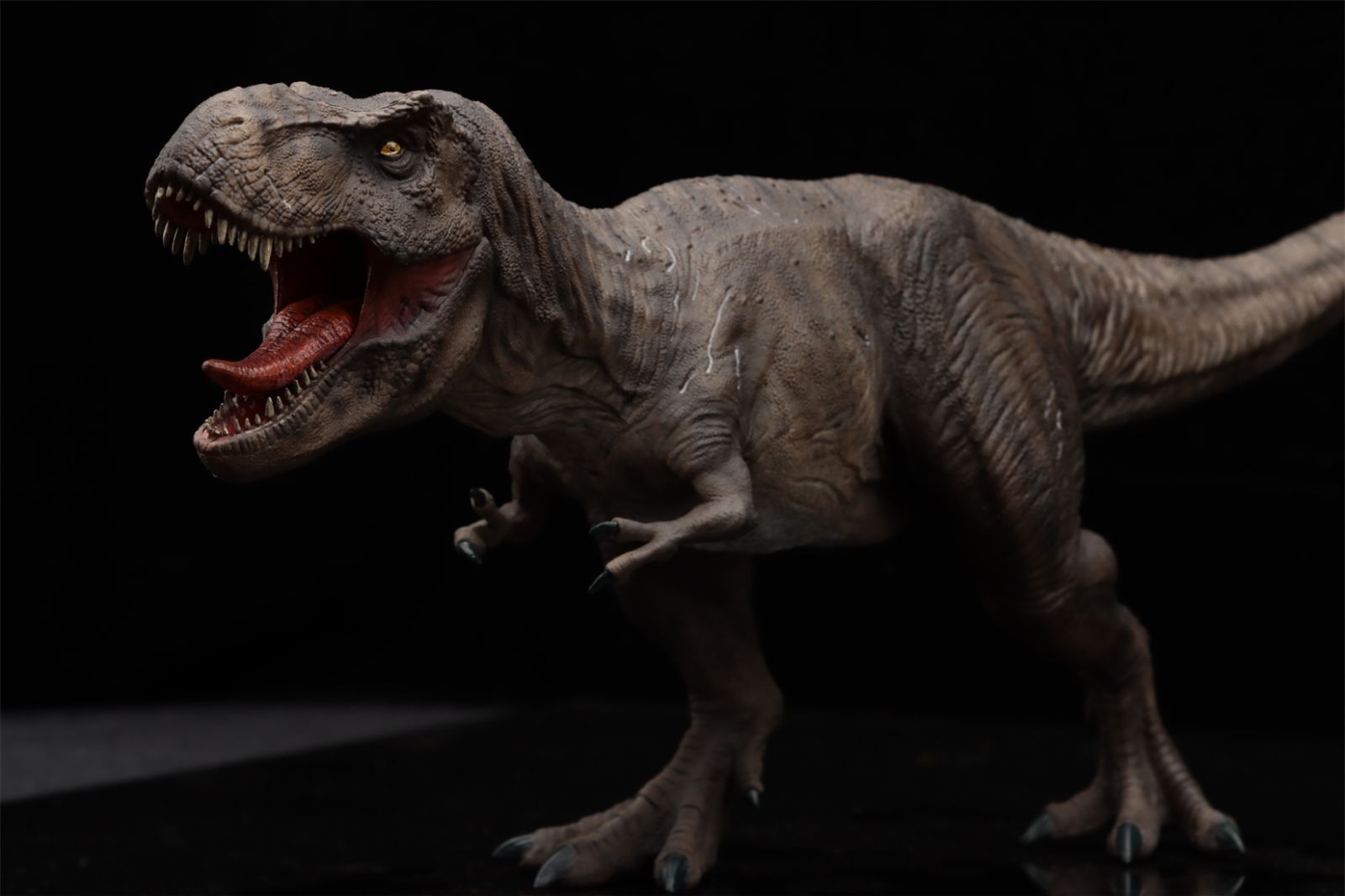 DINO DREAM 限定版 1/30 サイズ ティラノサウルス レックス 獣脚