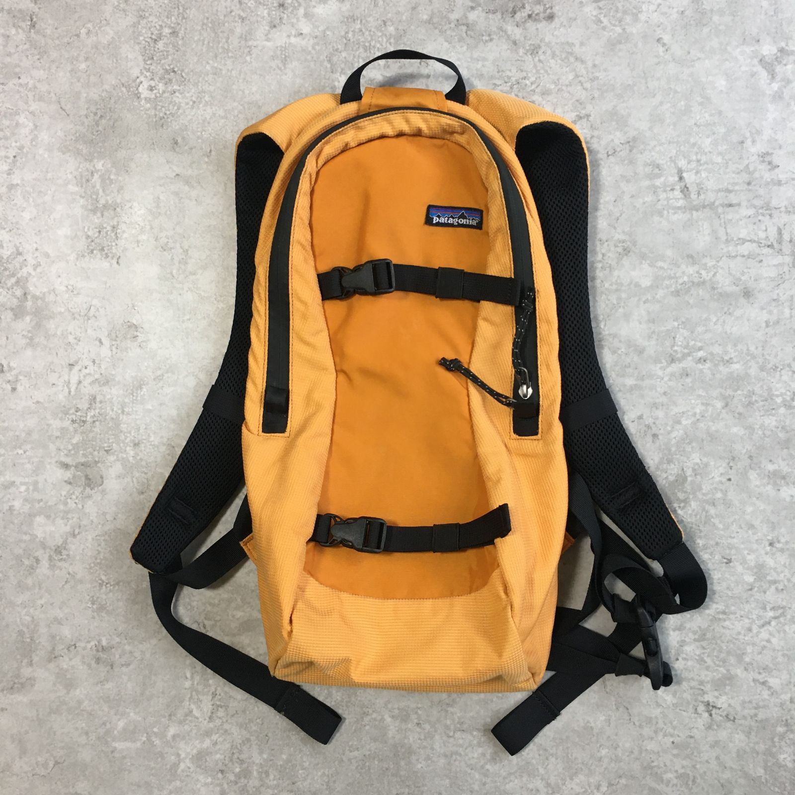Patagonia 並べよ バックパック オレンジ
