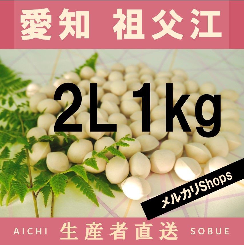 2024年新物 藤九郎 銀杏 祖父江産 4L 3kg 2024年新物！ 愛知県 祖父江産 藤九郎 銀杏 ぎんなん 4L 3kg