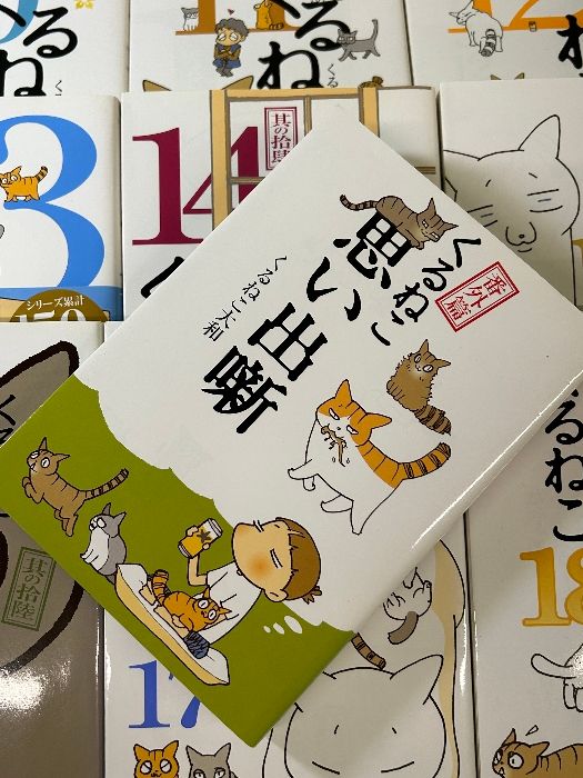 くるねこ 1巻～18巻+番外編 計19冊セット》くるねこ大和 エンターブレイン 漫画 現状品 - メルカリ