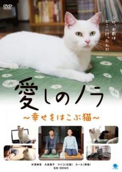 美ら猫(ちゅら猫)　DVD 3部作セット Amazon.co.jp: 美ら猫(ちゅら猫)竹富島編 [DVD] : 古城望