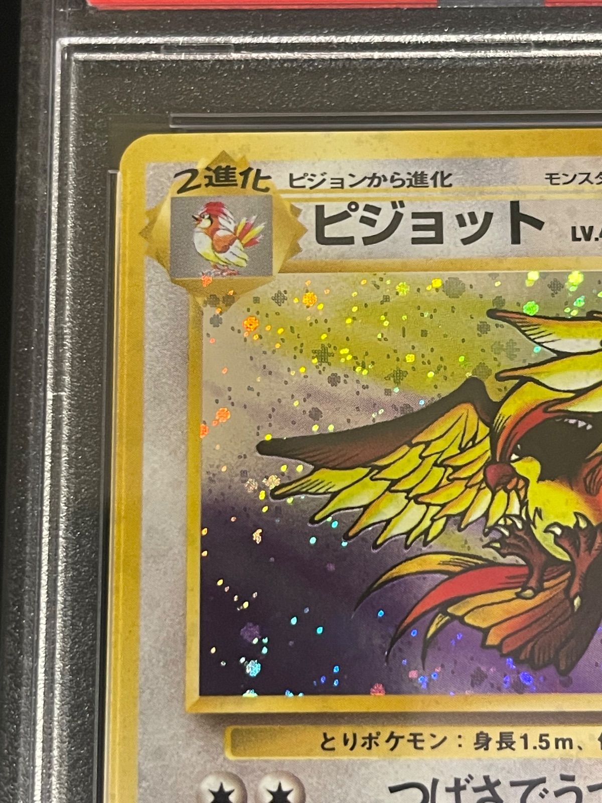 ポケモンカード 旧裏 ピジョット PSA10 【公式通販】