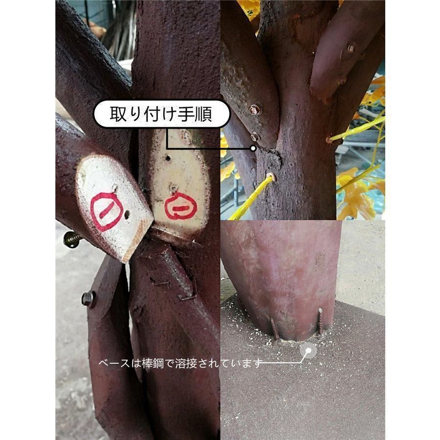 プラットフォーム 猫登山タワー猫の活動木