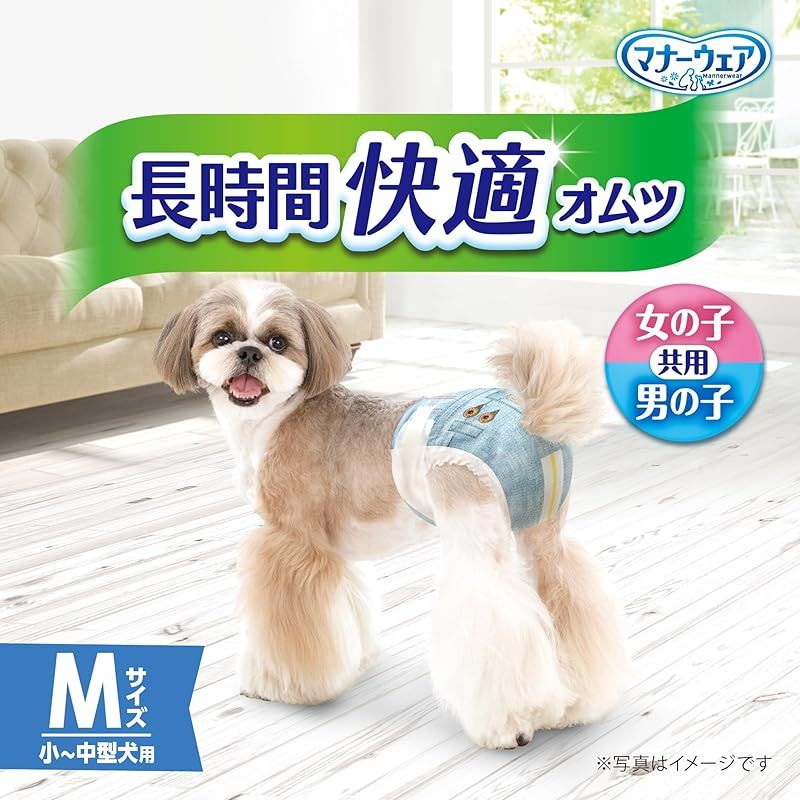 Mサイズ