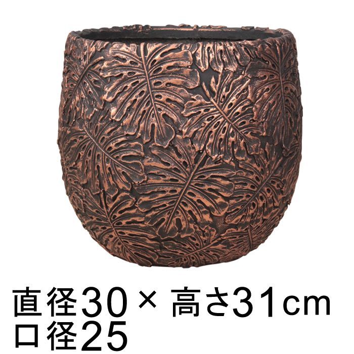 特大】ユーフォルビア トリゴナ おしゃれ鉢 陶器鉢 観葉植物 多肉植物