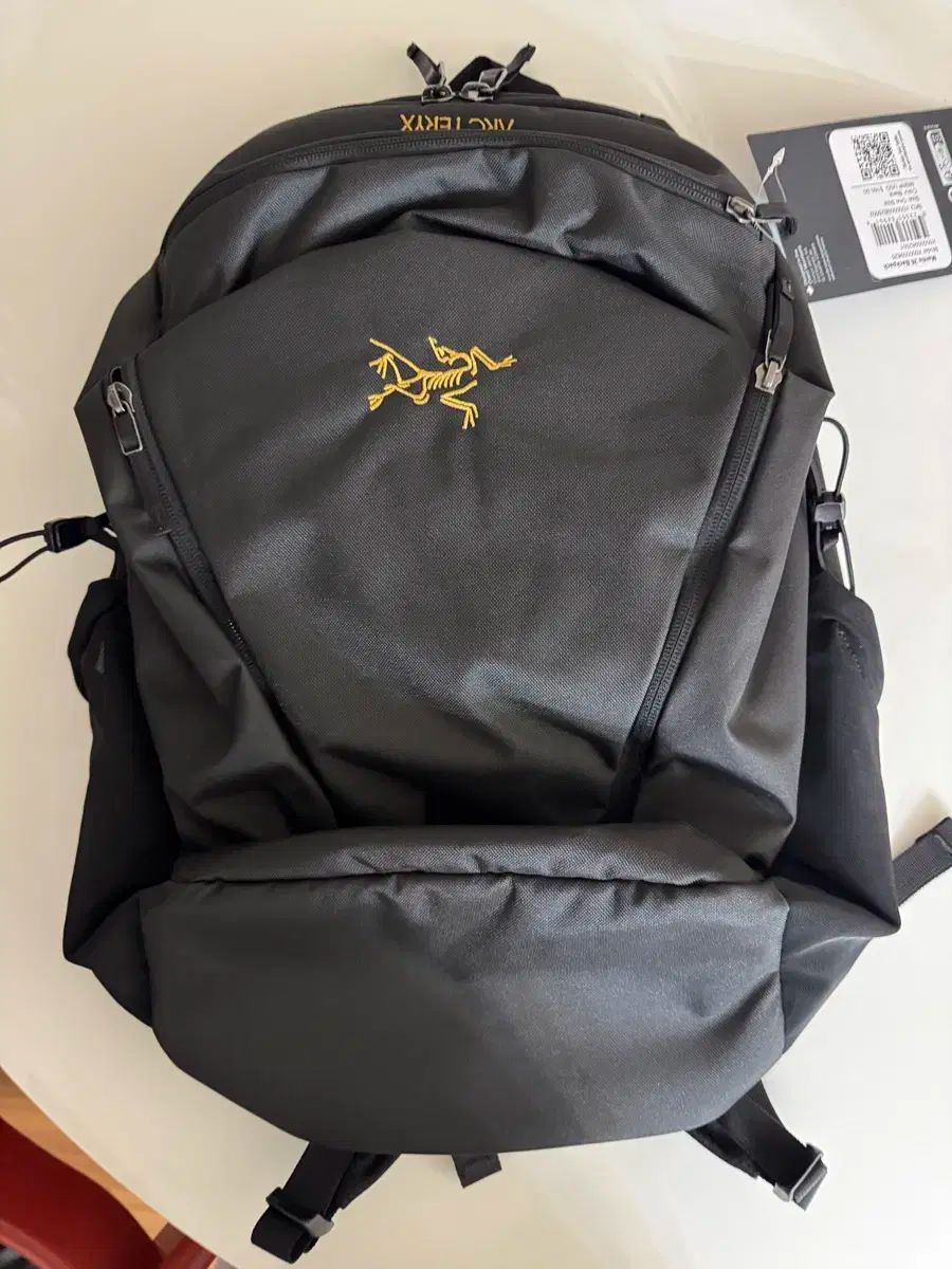 ARC TERYX マンティス 26 バックパック 25年