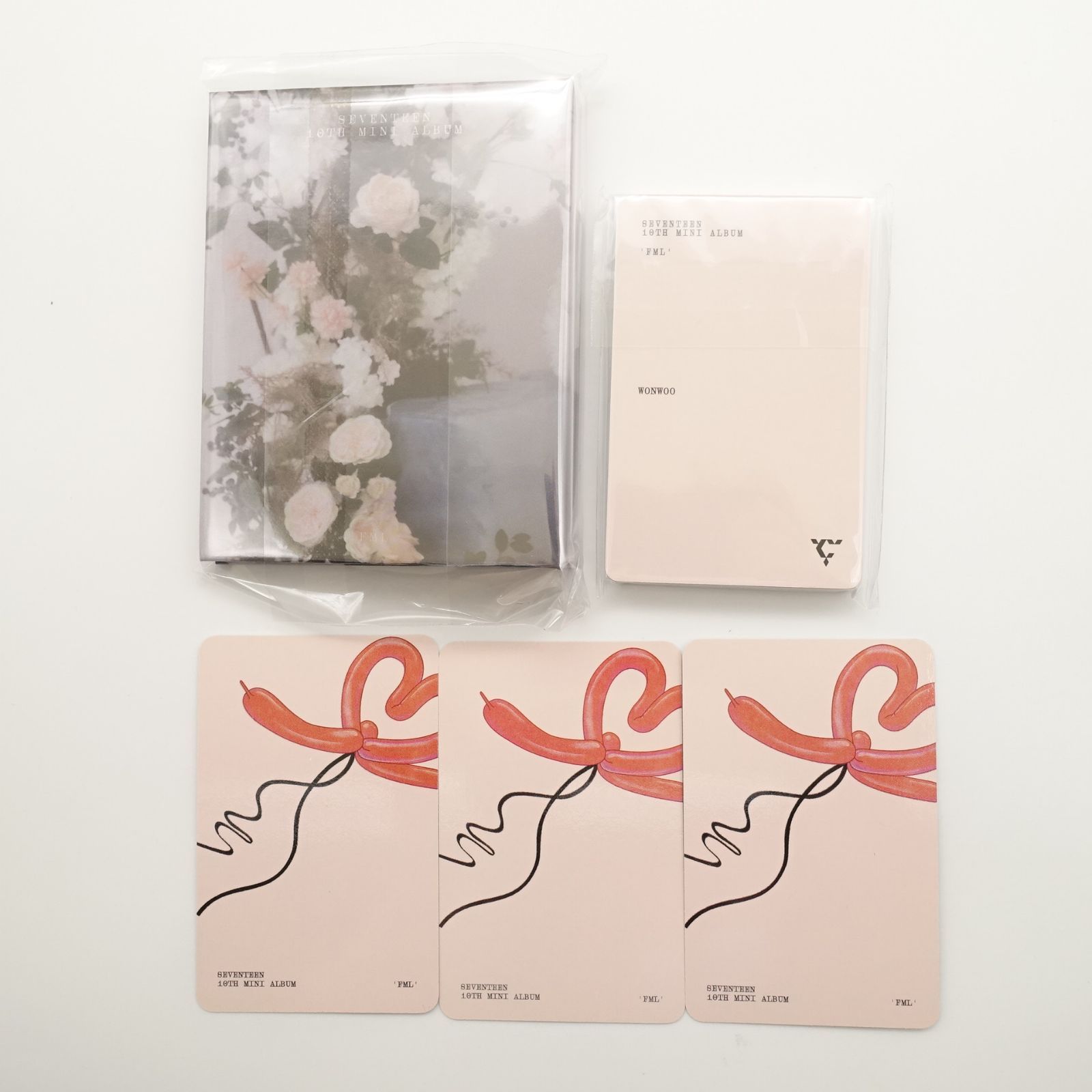 SEVENTEEN 4th album face the sun carat ver. Wonwoo complete
