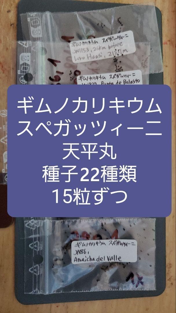 耐寒ギムノカリキウム　ブルチー　28種類 50株セット ギムノカリキウム スペガッツィーニ 天平丸 種子22種類 15粒ずつ
