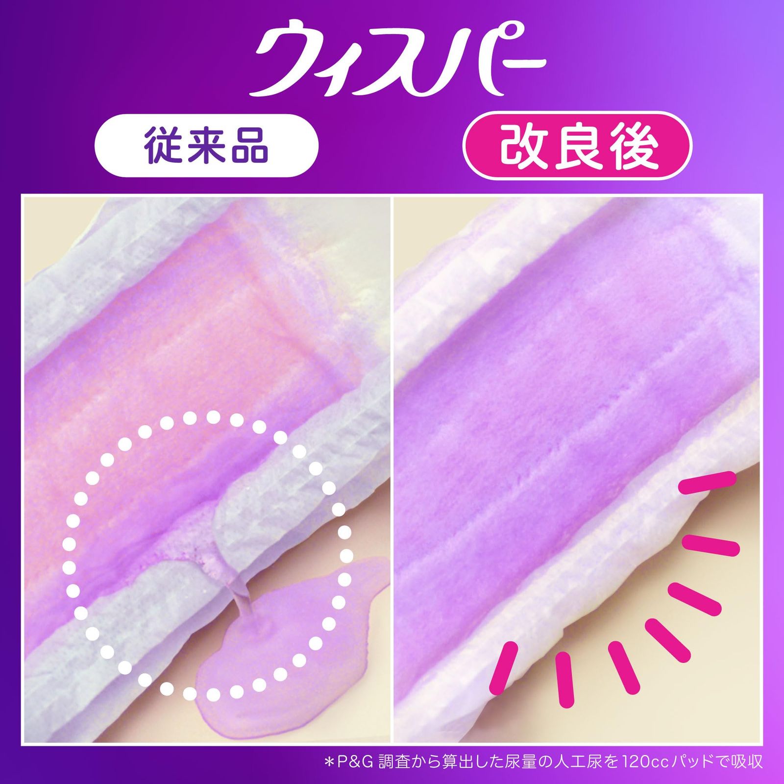 ゾロ様専用水曜どうでしょうDVD 深夜バスだけの旅＆試験に出る