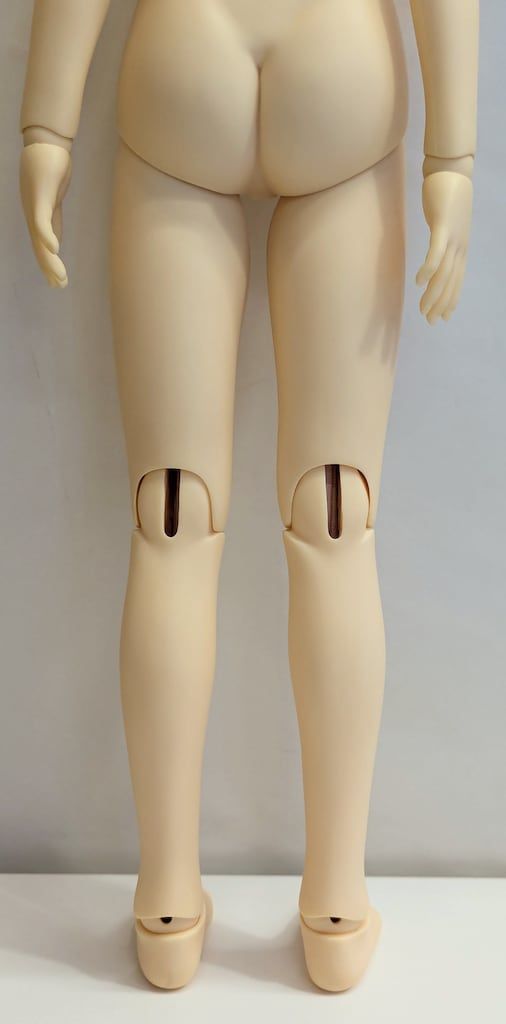 SD女の子