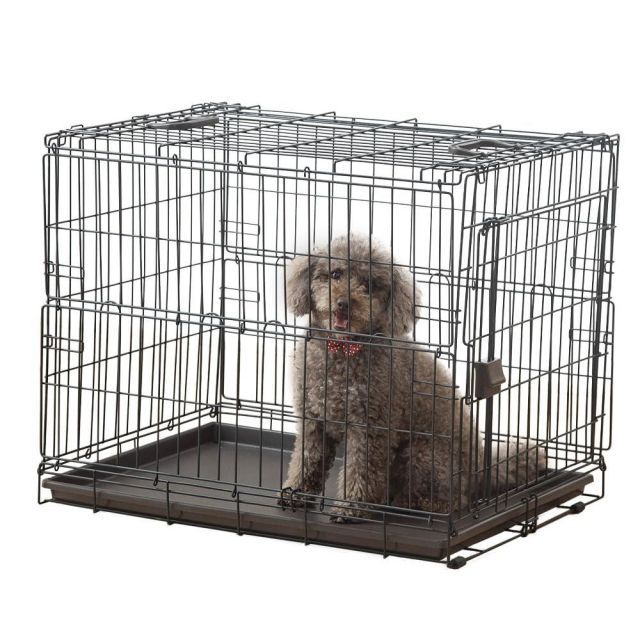 アイリスオーヤマ 犬 猫 ケージ 折りたたみ アイアンブラック 中型犬用 幅54.5×奥行77×高さ60.5cm