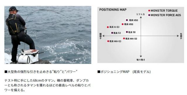 ダイワ 磯竿22年 モンスターフォースAGS尾長50 DAIWA（釣り