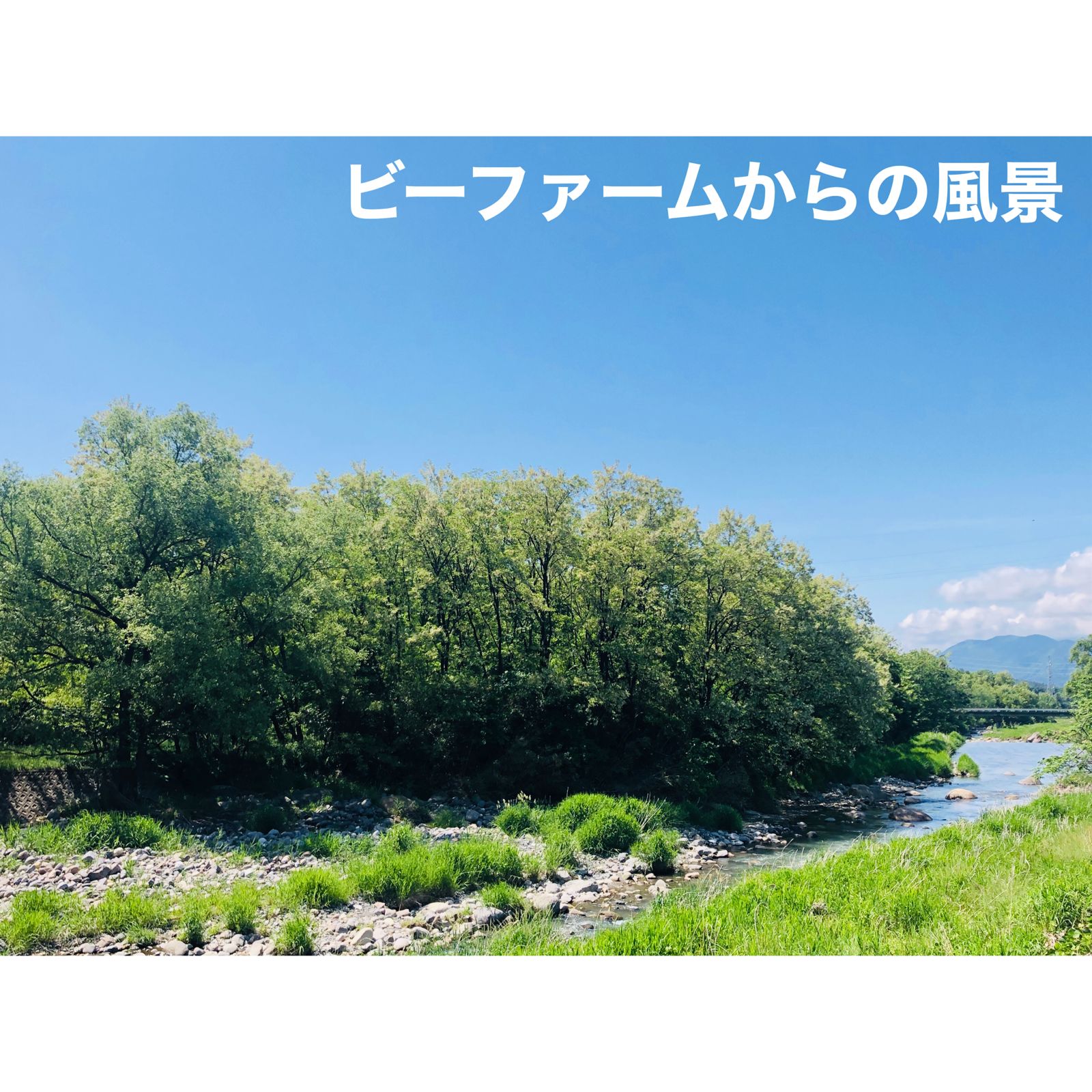 八ヶ岳