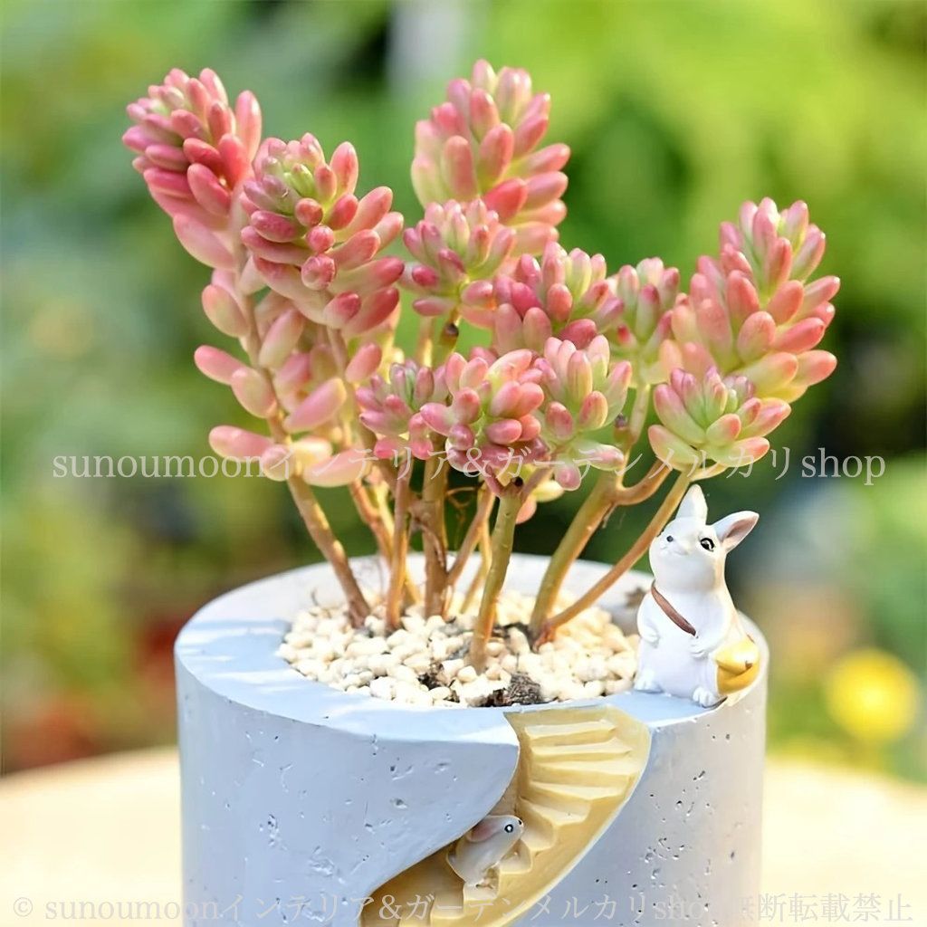 ガーデン 動物 ガーデンインテリア プランター 小動物 おしゃれ 4-7 鉢植え ハリネズミ かわいい 雑貨 お洒落 アニマル インテリア 庭の装飾 ガーデニング 植木鉢 ガーデン雑貨 樹脂 ミニチュア風 STEELWINDOWSANDDOORS_COM